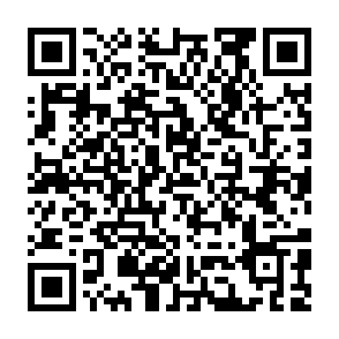 QR code for LZV 894