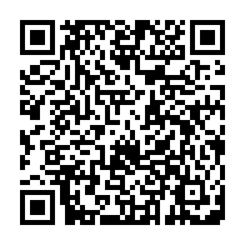 QR code for LZY063