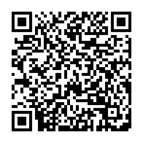 QR code for MAE 389