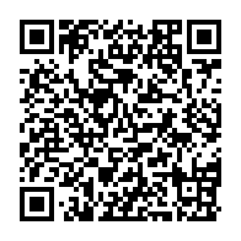 QR code for MAV 381