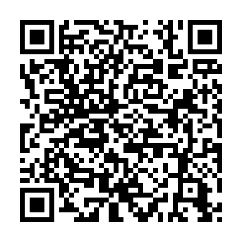 QR code for MAX 028