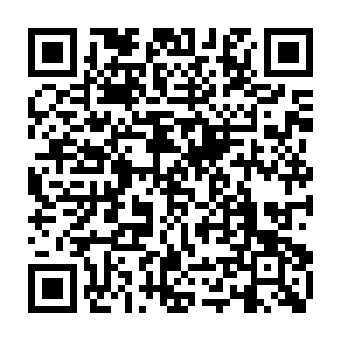 QR code for MAX 955