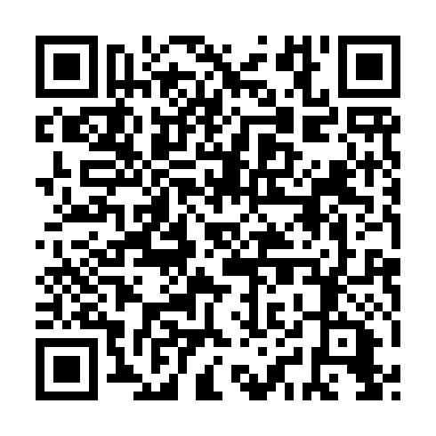 QR code for plate MAX 919
