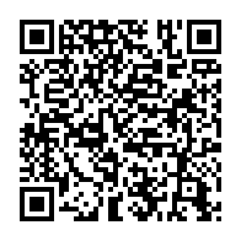 QR code for MAZ 384