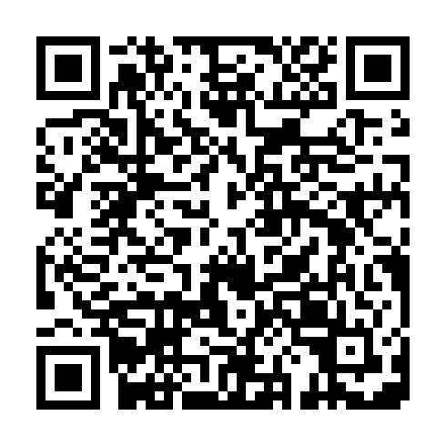 QR code for MCP 383