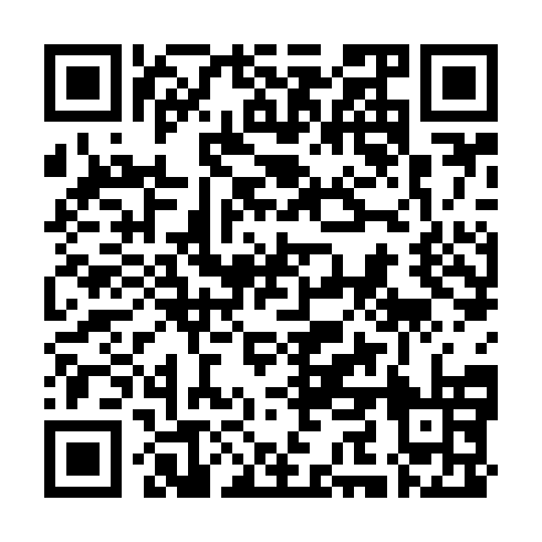 QR code for MDG403