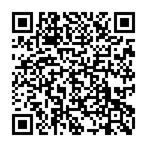 QR code for plate MEF 503