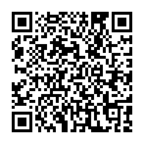 QR code for MFL 311
