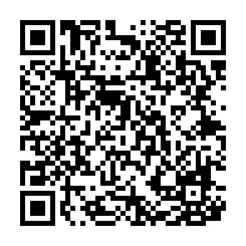 QR code for plate MFL 336