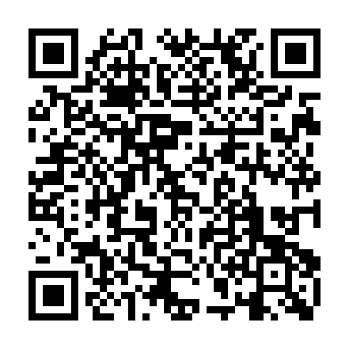 QR code for MGI 333