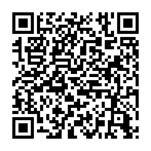 QR code for MGT 161
