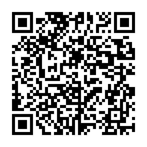 QR code for plate MNS 613