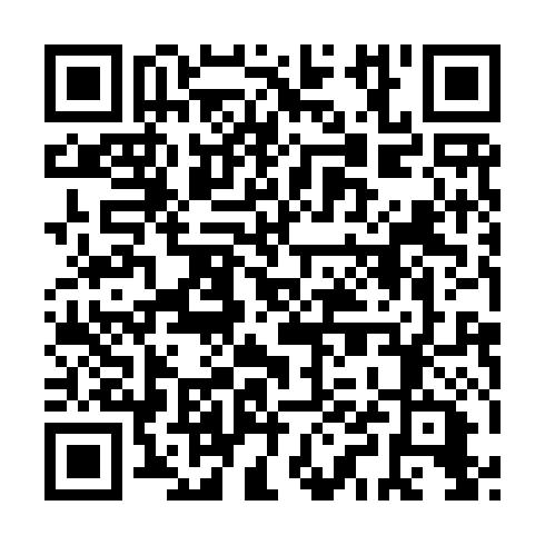 QR code for MPT 119