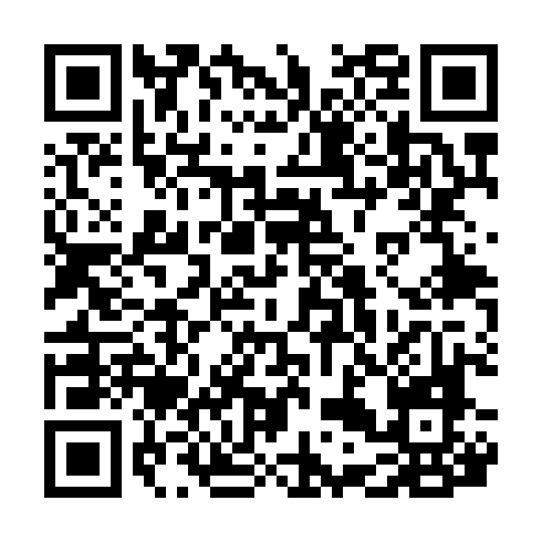QR code for MSR 938