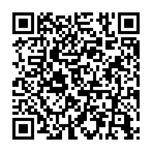 QR code for plate MVI 173