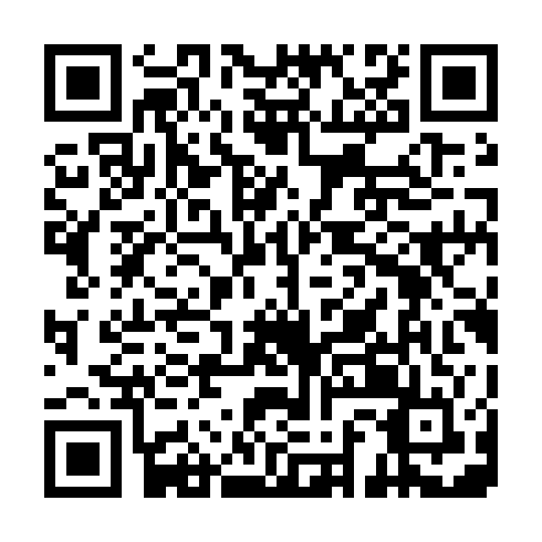QR code for plate MYN 613