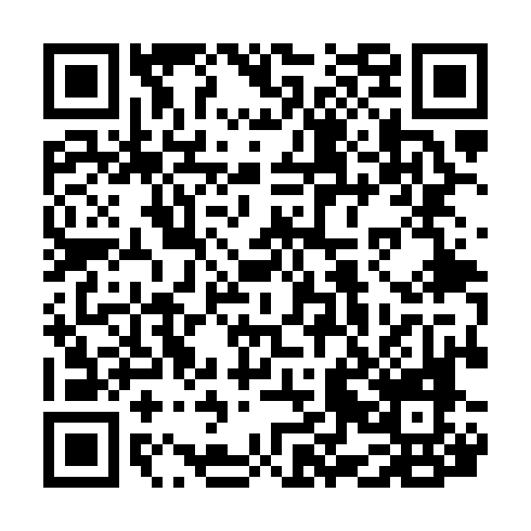 QR code for NAS381