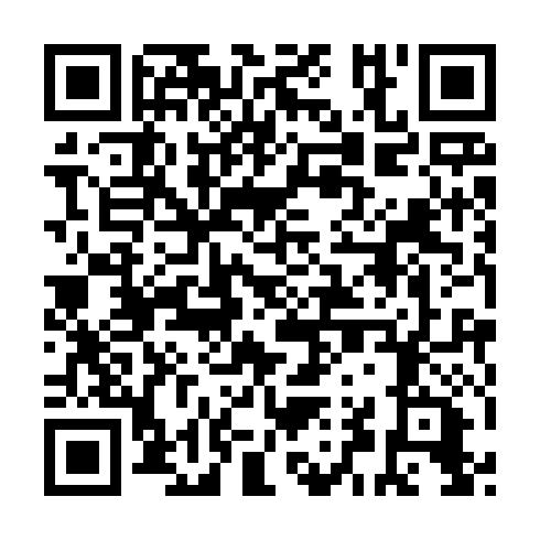 QR code for plate NDX 390