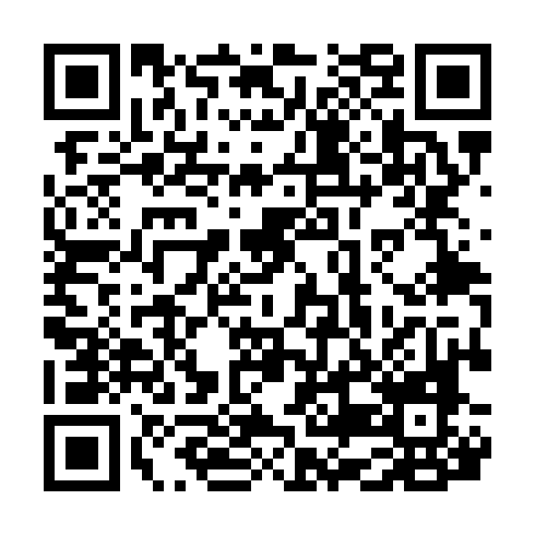 QR code for NEO 384