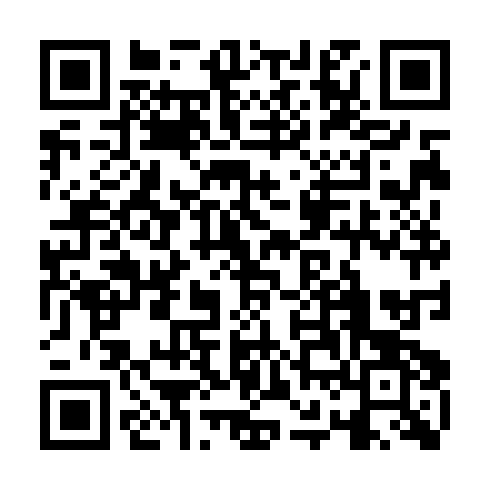 QR code for NES 923