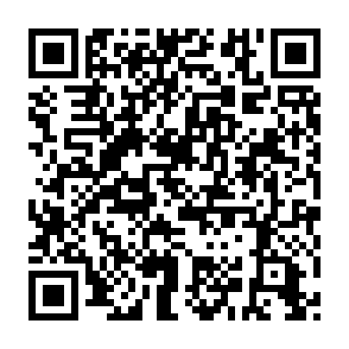 QR code for NES 991