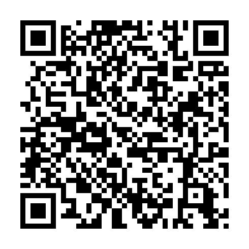 QR code for plate NEW 500