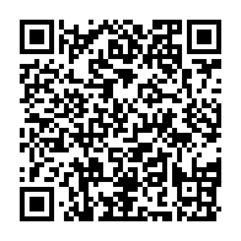 QR code for plate NFL 491