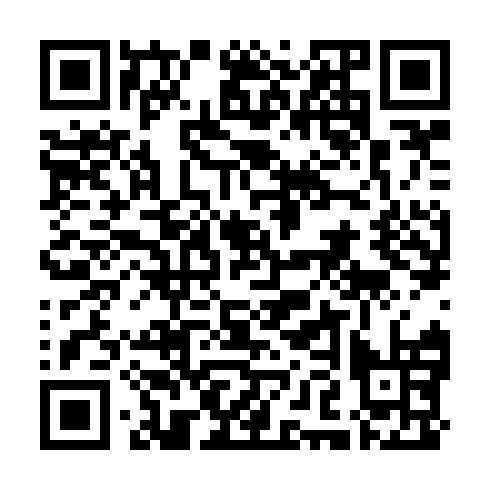 QR code for plate NFS 155