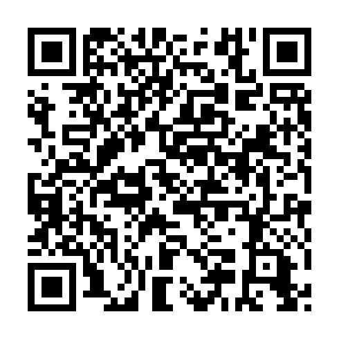 QR code for plate NGN 991
