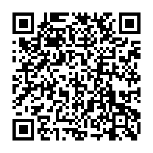 QR code for NGO 381