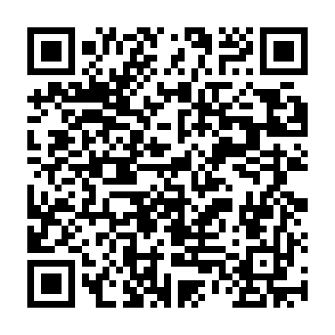 QR code for NIF 221