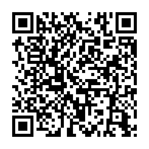 QR code for NIL 993