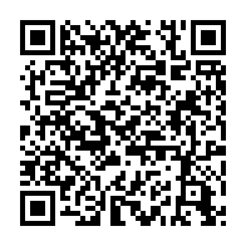 QR code for NIQ 541