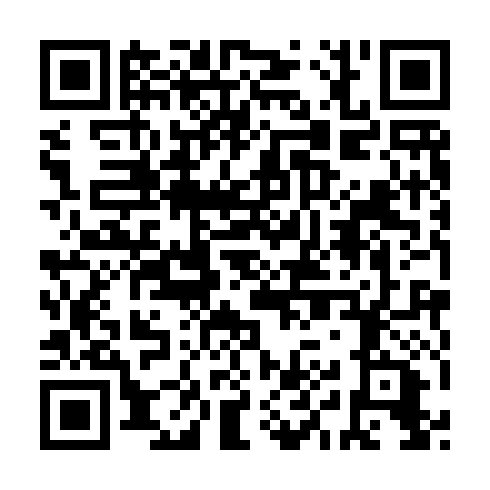 QR code for NIS 491