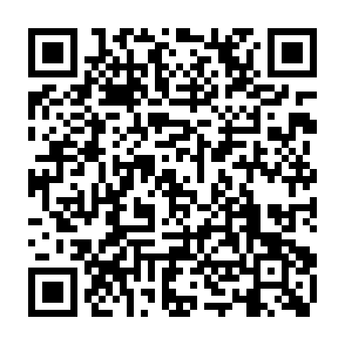 QR code for NKX382