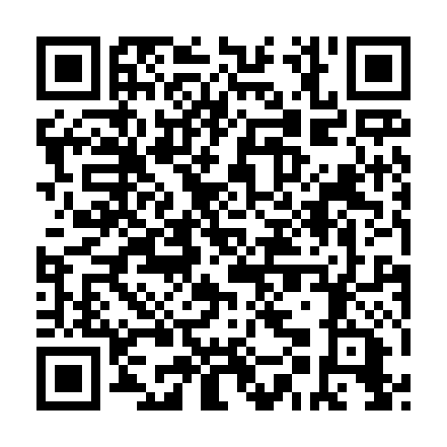 QR code for plate NME 028