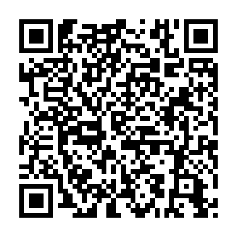 QR code for plate NNM 917
