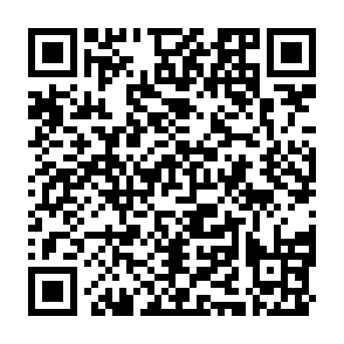 QR code for plate NNN 698