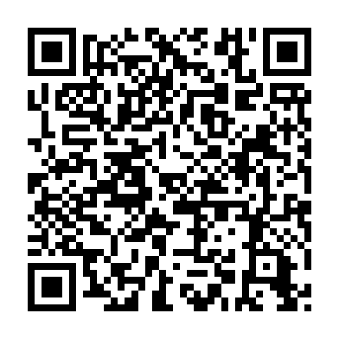 QR code for NOU 919