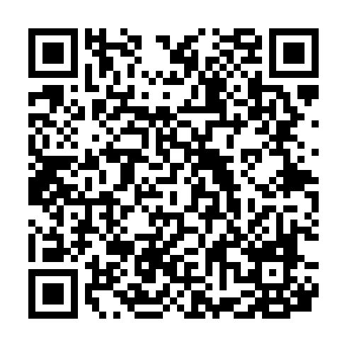 QR code for plate NPA 335