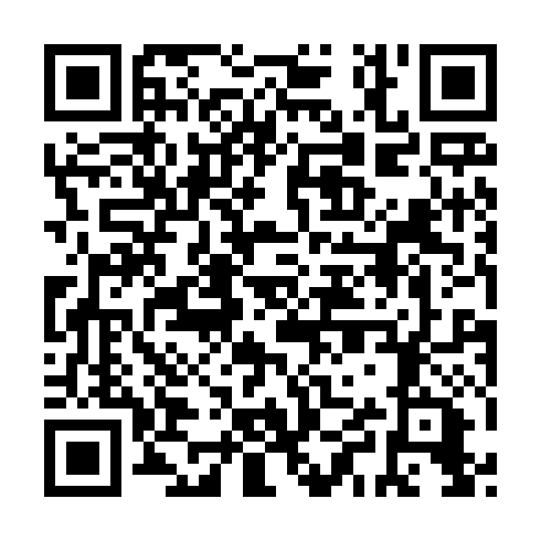 QR code for plate NPP 228
