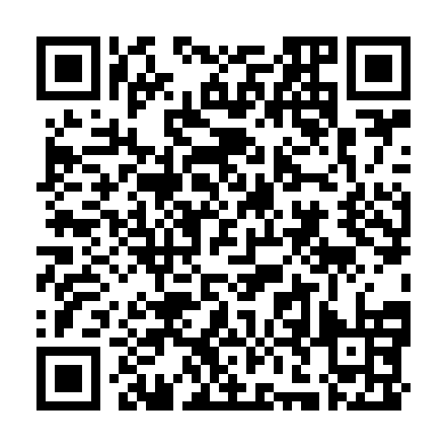 QR code for plate NSB 031