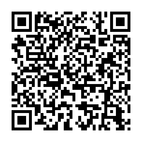 QR code for NSI 497