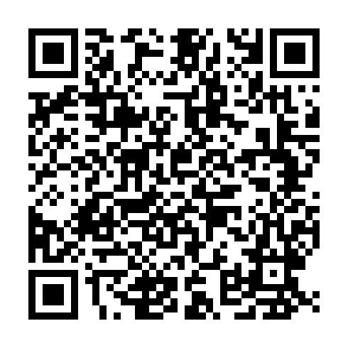 QR code for NSO 382