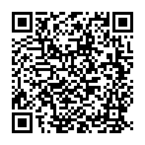 QR code for plate NTO 509