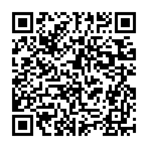 QR code for plate NUM 382