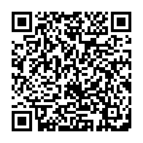 QR code for plate NVS 313