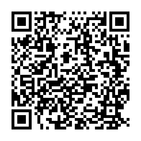 QR code for NYC 493