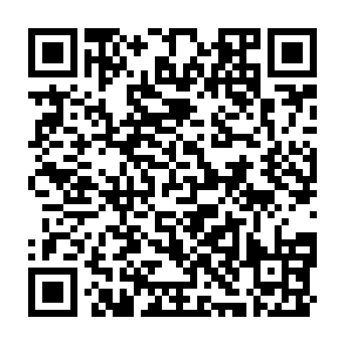 QR code for plate NYC 313