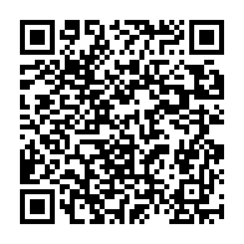 QR code for NYE 111